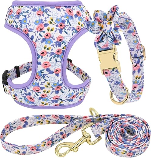 Beirui Cute Girl Dog Collar Leash Set XS