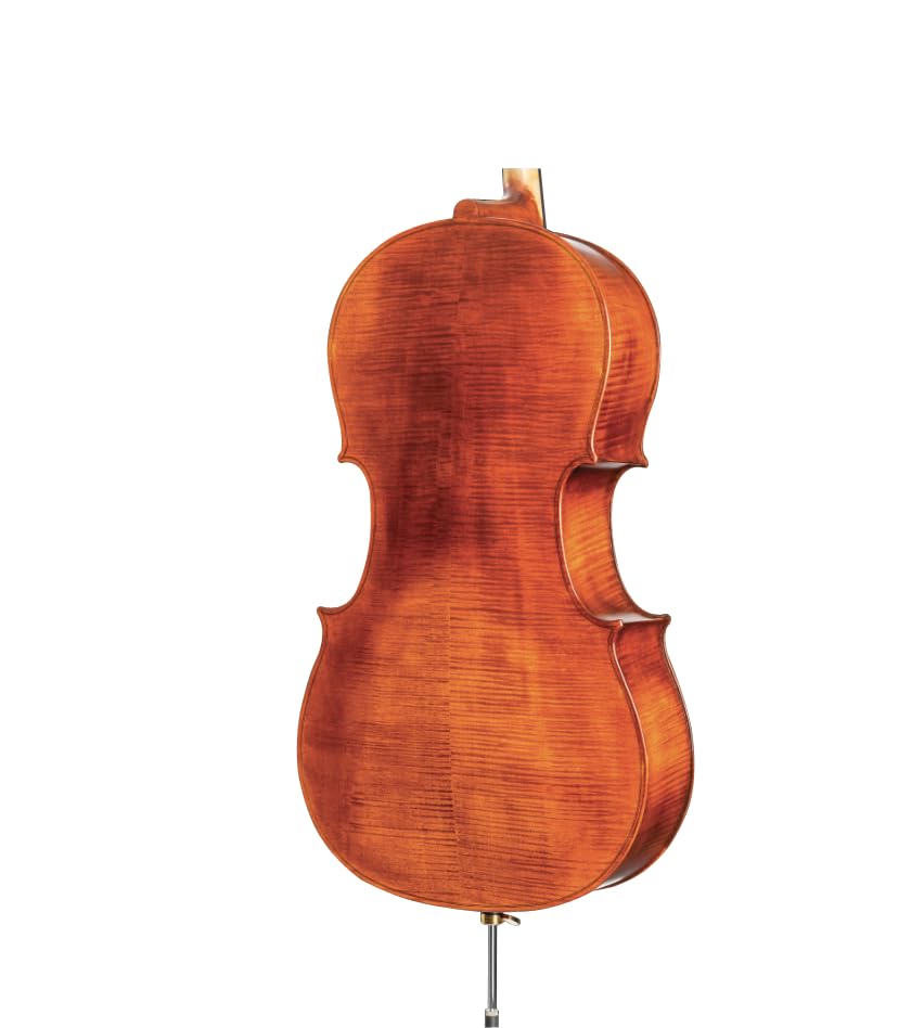 D Z Strad Handmade Student Cello Model 101 (4/4) - Image 2