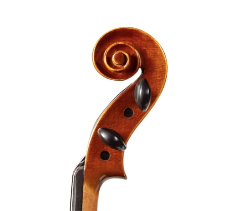D Z Strad Viola Model 120 with Accessories (14") - Image 3
