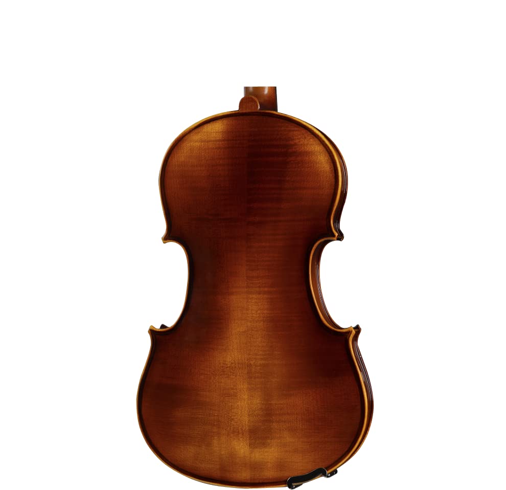 D Z Strad Viola Model 120 with Accessories (14") - Image 2