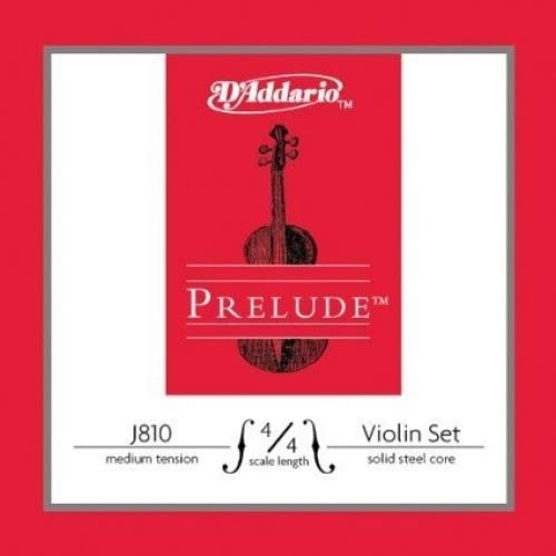 D Z Strad Violin Model 101 With Case, Bow - Image 5