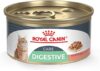 Royal Canin Digestive Care Thin Slices Wet Cat Food, 3 oz (24-count)