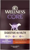 Wellness Digestive Health Senior Dog Food – Advanced Age