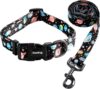 Ihoming Dog Collar And Leash Set – S-Up to 20LBS