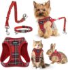 GAMUDA Dog Harness And Seat Belt Set, XS