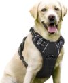 rabbitgoo Dog Harness, No-Pull Pet Vest, 2 Leash Clips