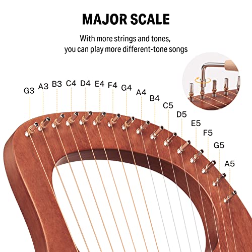 Donner Lyre Harp DLH-003 With Accessories - Image 5