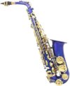 SHUNTIAN E-Flat Alto Saxophone Carved Tube Instrument