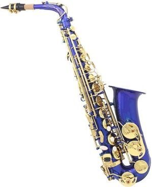 SHUNTIAN E-Flat Alto Saxophone Carved Tube Instrument