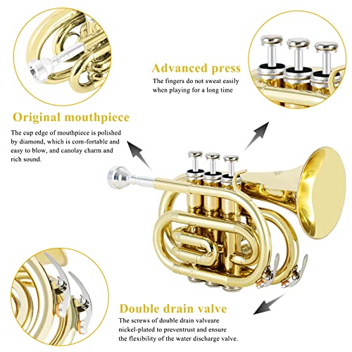 EASTROCK Pocket Trumpet Gold Lacquer Bb with 7C Mouthpiece - Image 2