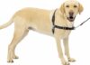 PetSafe Easy Walk No-Pull Dog Harness – Large