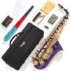 Mendini by Cecilio Eb Alto Saxophone – Case, Tuner, Mouthpiece