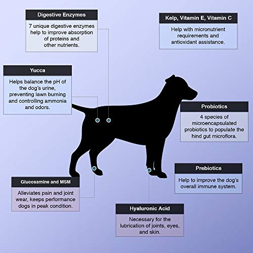 Equerry's Pro-Thrive Senior for Older Dogs, 12 Oz - Image 5