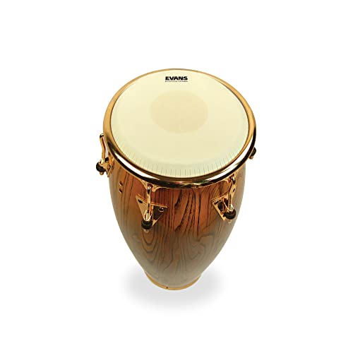 Evans Tri-Center Conga Drum Head, 11 3/4 Inch - Image 2