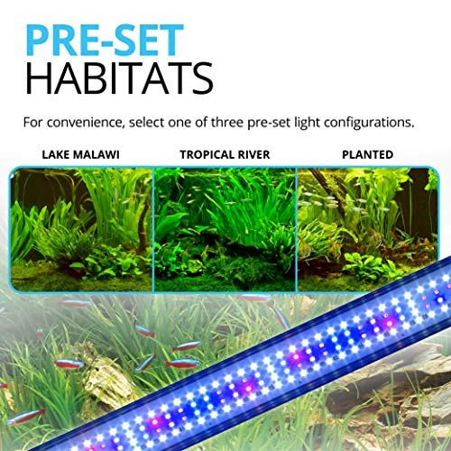 Fluval Plant 3.0 LED Aquarium Lighting, 32W - Image 5