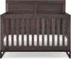 Delta Children Foundry 6-in-1 Convertible Crib, Rustic Grey