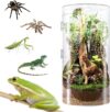 smartang Front Opening Terrarium 12*6*6inch