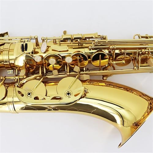 Generic Professional B Flat Tenor Saxophone Kit - Image 4