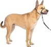 PetSafe Gentle Leader No-Pull Dog Headcollar, Medium