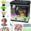 SANOSY Glass Fish Tank 4.35 Gallon Aquarium Starter Kit