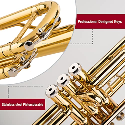 GLORY ESTD. 1962 Bb Trumpet for Beginner or Advanced Student - Image 3