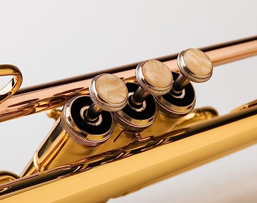 GLORY ESTD. 1962 Bb Trumpet for Beginner or Advanced Student - Image 5