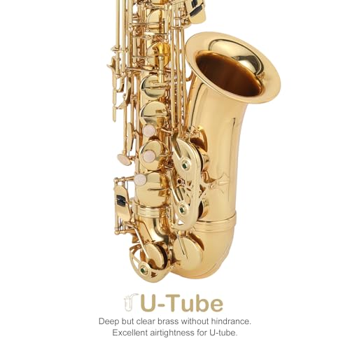 GODECOR E Flat Alto Saxophone With Accessories - Image 3