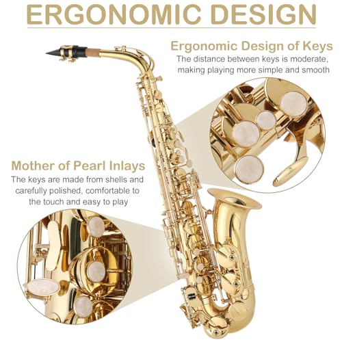 GODECOR E Flat Alto Saxophone With Accessories - Image 5