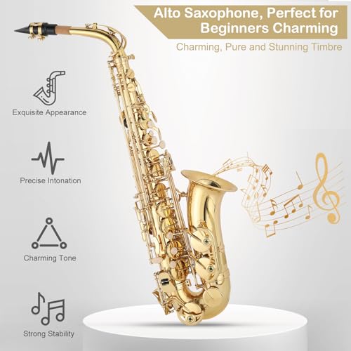 GODECOR E Flat Alto Saxophone With Accessories - Image 2