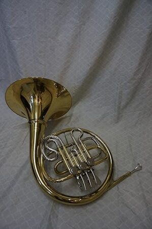 Maestro Gold French Horn With Case