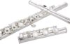 GLORY Hand-Engraved Silver Plated Flute 17 Hole C Flute With Case