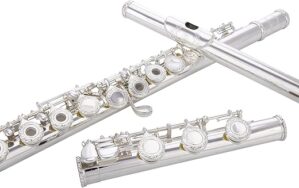 GLORY Hand-Engraved Silver Plated Flute 17 Hole C Flute With Case