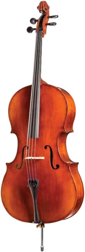 D Z Strad Handmade Student Cello Model 101 (4/4)