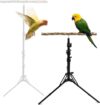 Oooct Height Adjustable Bird Perch Stand, 16-63 Inch