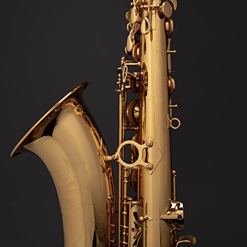 HERCHE Superior Bb Tenor Saxophone X3 Professional - Image 4
