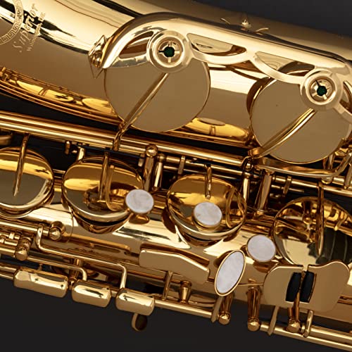 HERCHE Superior Bb Tenor Saxophone X3 Professional - Image 5