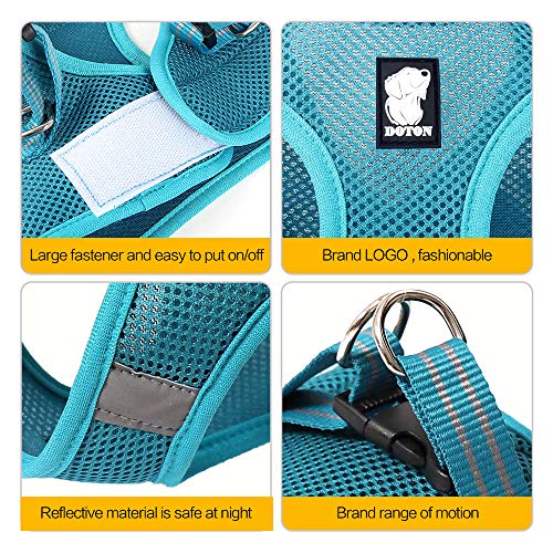 HEYWEAN Cat Harness And Leash - Turquoise - Image 3