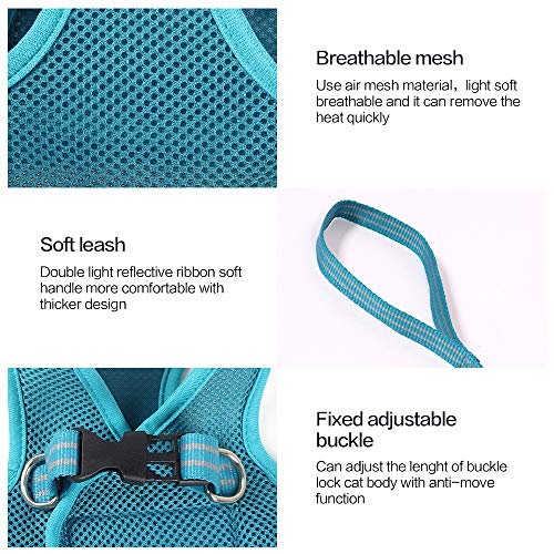 HEYWEAN Cat Harness And Leash - Turquoise - Image 5