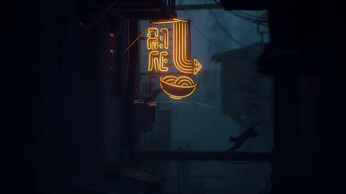 Stray - Image 3