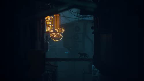 Stray - Image 4