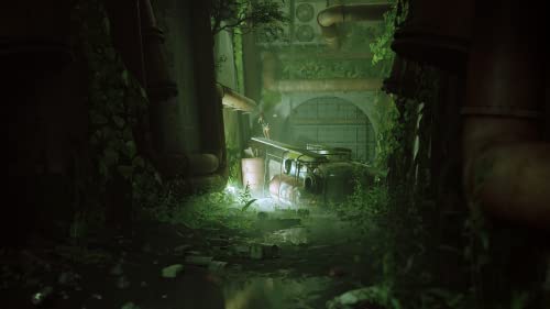 Stray - Image 2