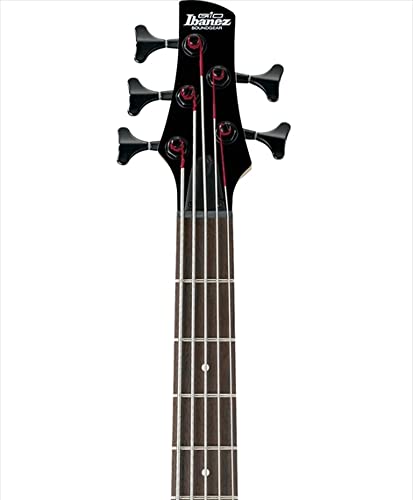 Ibanez 5 String Bass Guitar, GSR205BWNF - Image 3