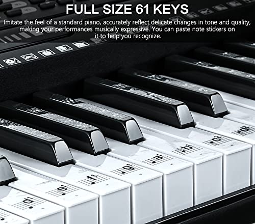 JIKADA 61 Key Portable Electronic Keyboard Piano - Image 4