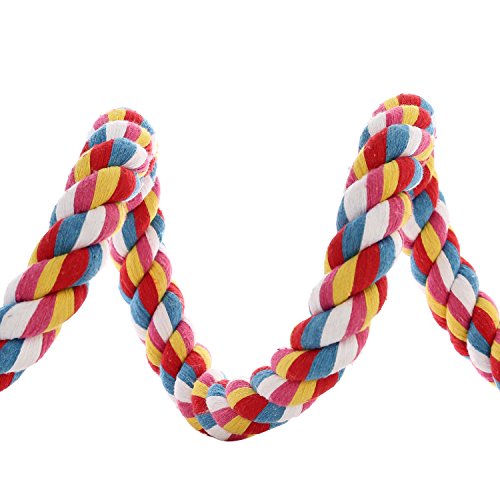Jusney Bird Rope Bungee Toy 21 Inches - Image 4