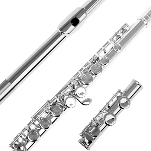 JUUTQA Professional 16 Holes C Key Flute - Image 2