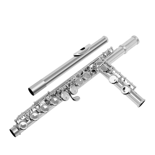JUUTQA Professional 16 Holes C Key Flute - Image 4