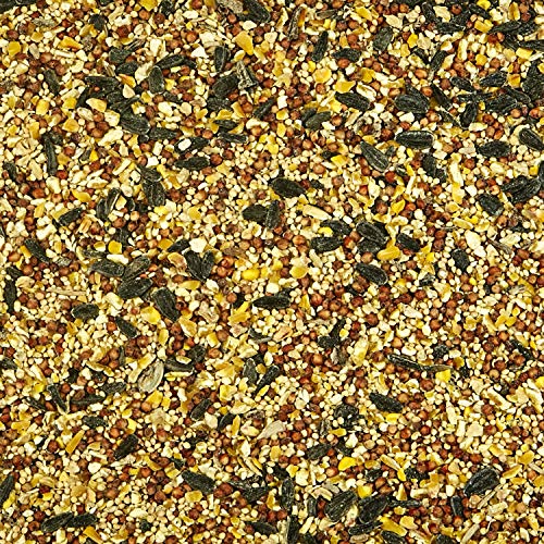Kaytee Wild Bird Food Basic Blend, 10 lb - Image 3