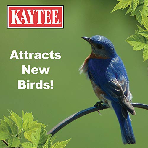 Kaytee Wild Bird Food Basic Blend, 10 lb - Image 5