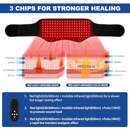 KingPavonini Red Light Therapy Belt Infrared Device - Image 3