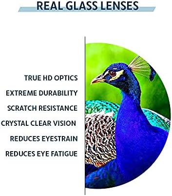 KRT Distributions Real Reading Glasses Club Frame - Image 4